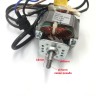 Двигатель мотор HC5420 AC220-240V 150W Class F для кофемолки RED RCG-1610