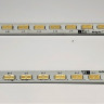 GT0361 
