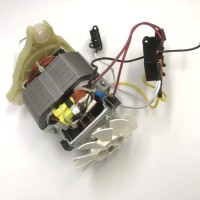 Мотор, двигатель AC8835M23 230V в сборе с редуктором для блендера RED RSB-M3404