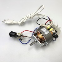 Двигатель RS7025 350W 220-240V Class155 для мясорубки ECON ECO-1016MG